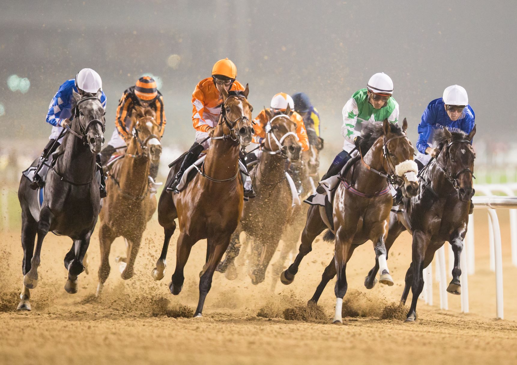 HORSE RACING The Meydan Hotel